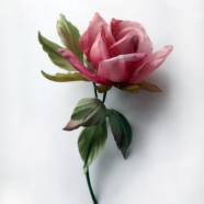 роза-бутоньерка