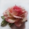 роза шелковая